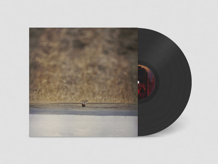 Hands That Bind (Original Motion Picture Soundtrack) | Jim O'Rourke