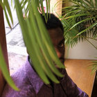 Salaam X thumbnail