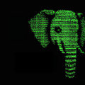 Elephant Protocol image