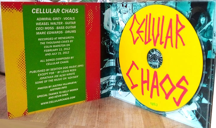 邦楽 C.I.A CHAOS INDUCED ANAKY CDR CIAZOO 邦楽 C.I.A CHAOS INDUCED