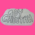 toy cheetah image