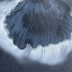 Tabitha Orson thumbnail