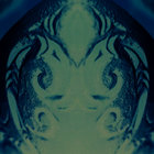 Dan Waipoua thumbnail