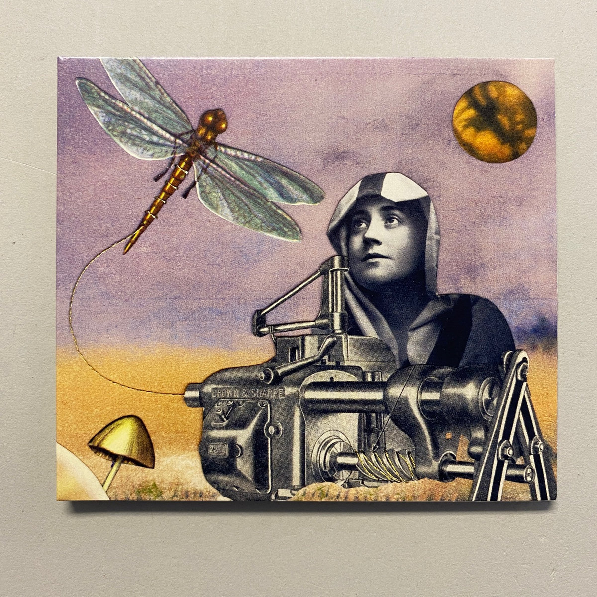 Bordando el manto terrestre | Maud the moth + trajedesaliva