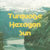 TurquoiseHexagonSun thumbnail
