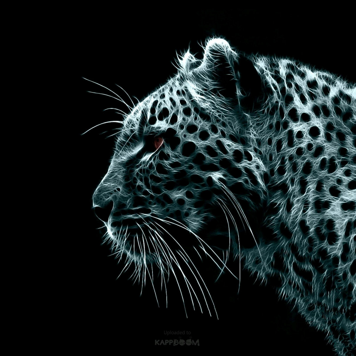 Robert Matos (UndergoundSoulcreations)