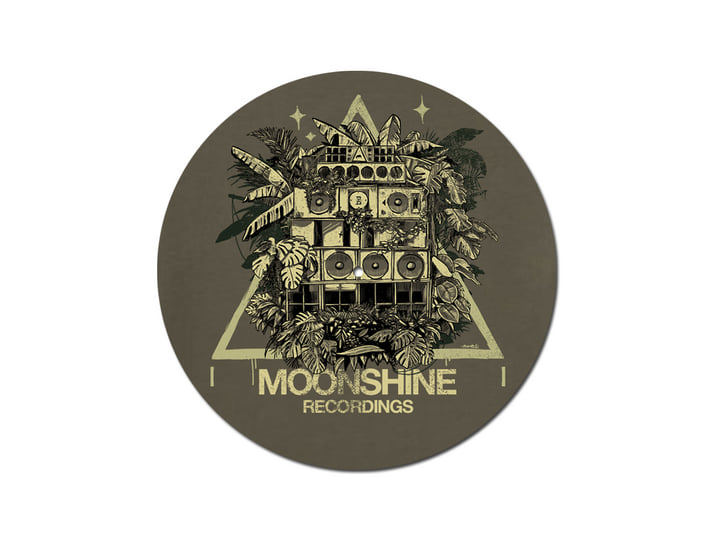 Dub meets Techno | Various Artists | Moonshine Recordings