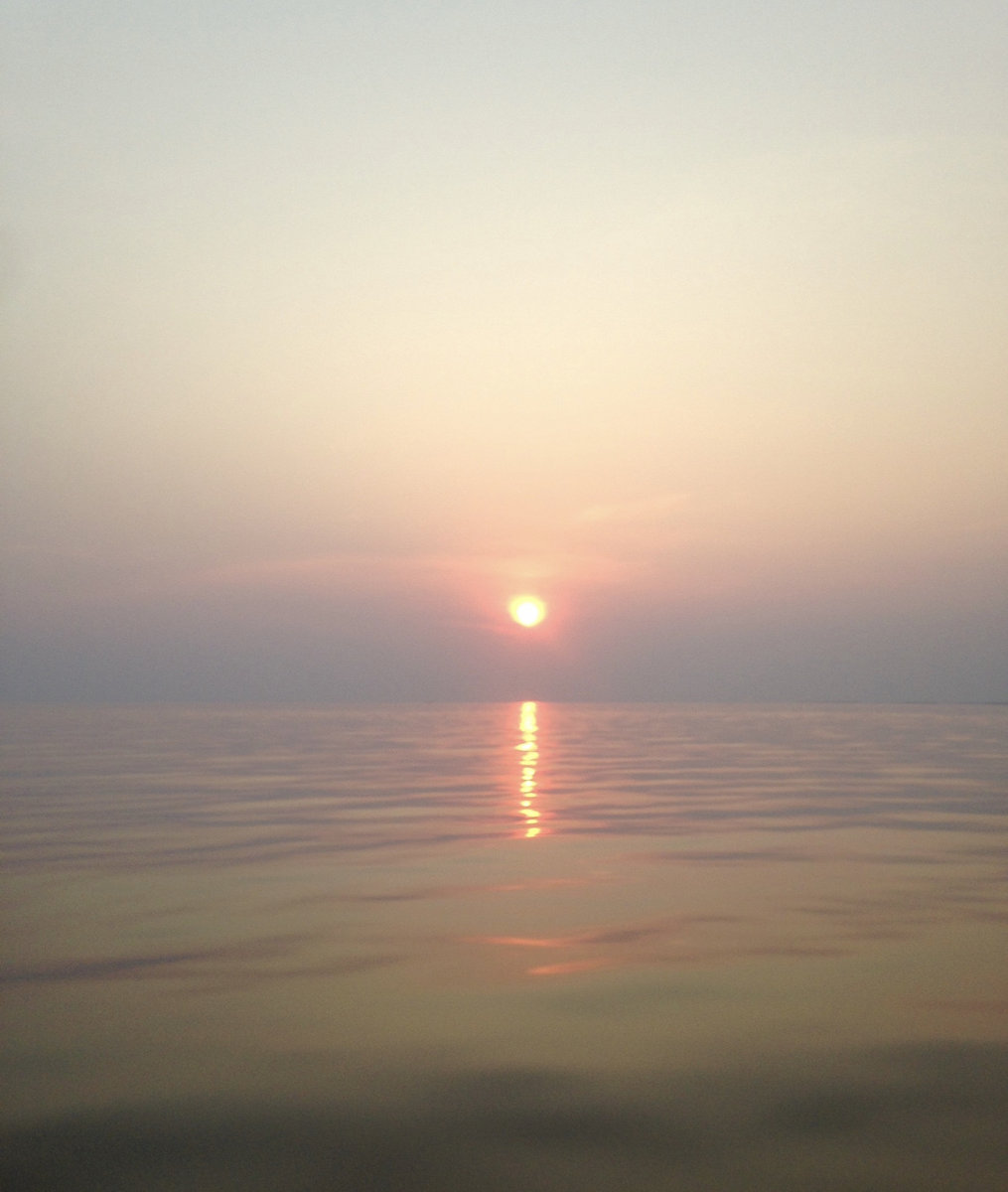 Meadowlands/Xanadu/American Dream | zen++