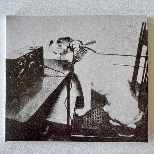 The Dog That Wouldn't Die | C.I.A. Records