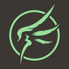 Flying Turtle Design thumbnail
