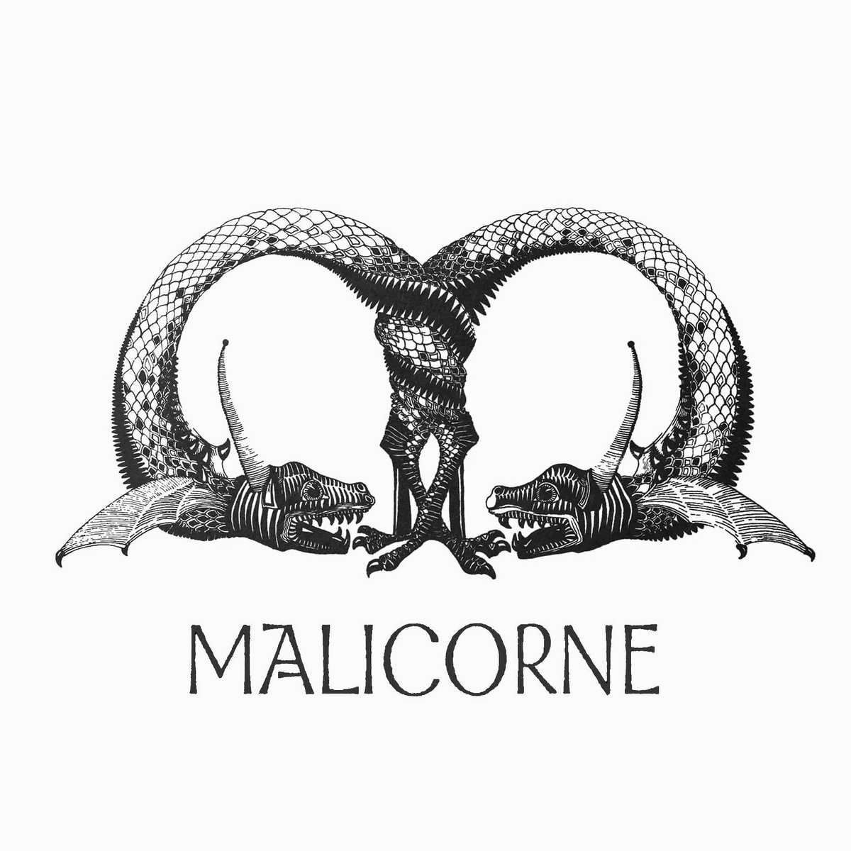 Music MALICORNE