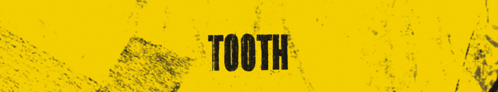 Tooth — Photo