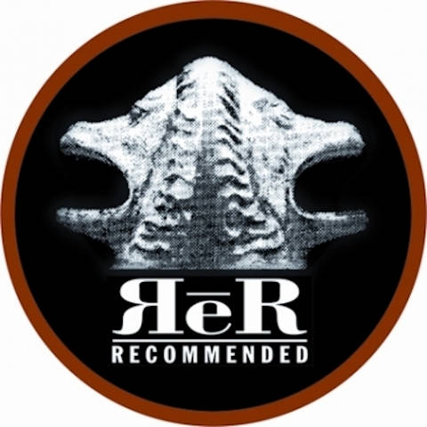RECOMMENDED RECORDS 紙ジャケ 🎸ROCK中古紙ジャケ入荷情報🎸コレクター必見「BIG PINK」レーベルの紙