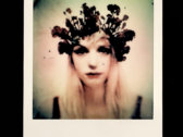 "dried flower girl" [1] photo 
