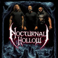 Nocturnal Hollow image