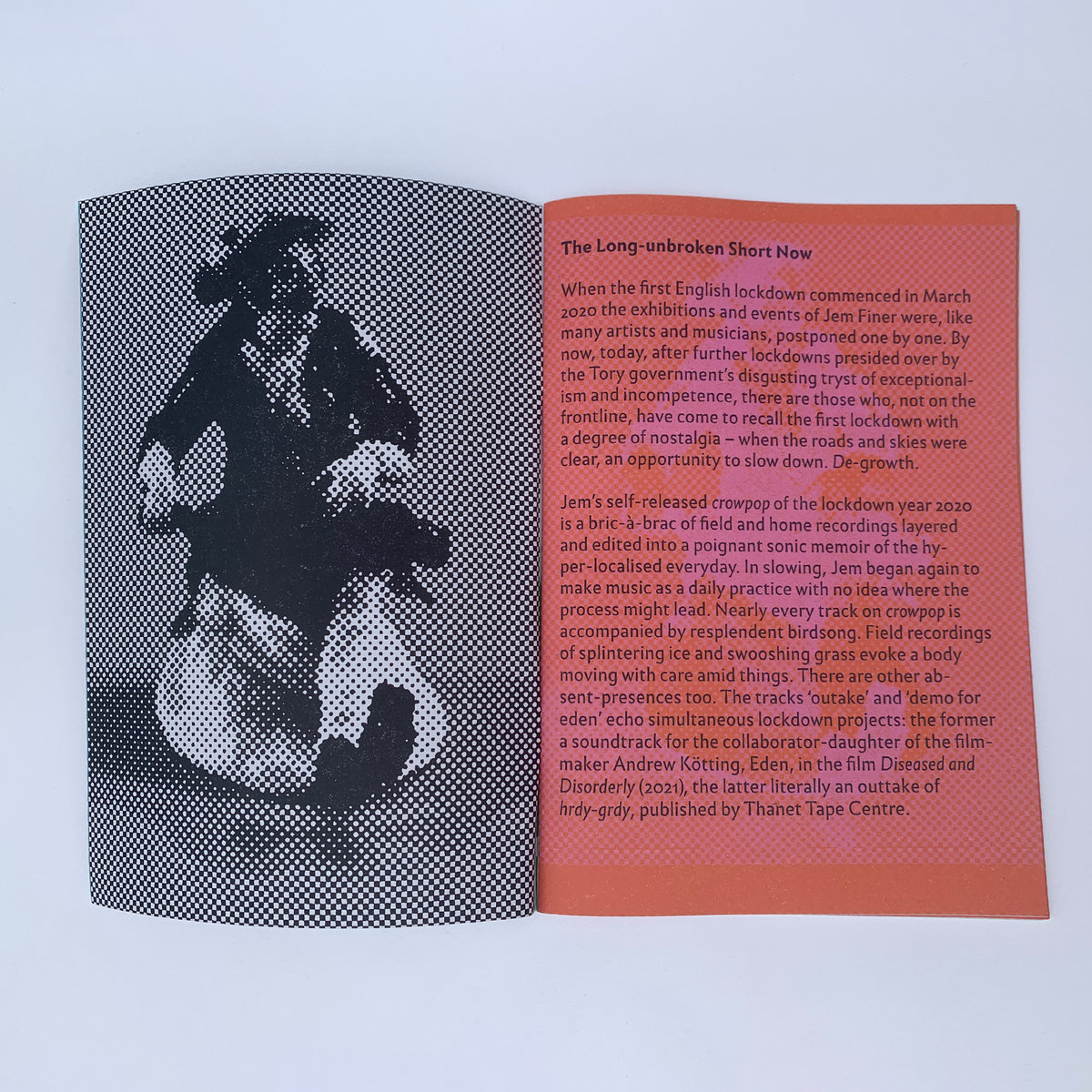 ★ＵＫオリジナル盤★ＯＰＡＺfeatＲＡＹ ＨＡＹＤＥＮ見開きジャケット２ＬＰ Hrdy-Grdy | Jem Finer | Thanet Tape Centre