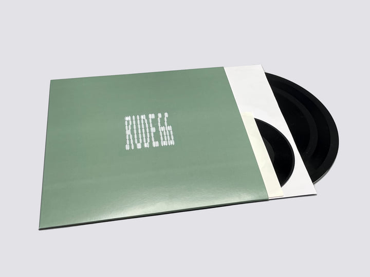 DYGL ／ Say Goodbye to Memory Den DYGL / SAY GOODBYE TO MEMORY DEN / 2LP / | RECORD SHOP VIEW