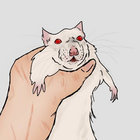 szczur thumbnail