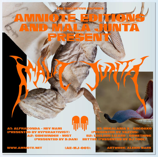 AE-MJ-001: The Collective Capsule EP | Mala Junta | Amniote Editions