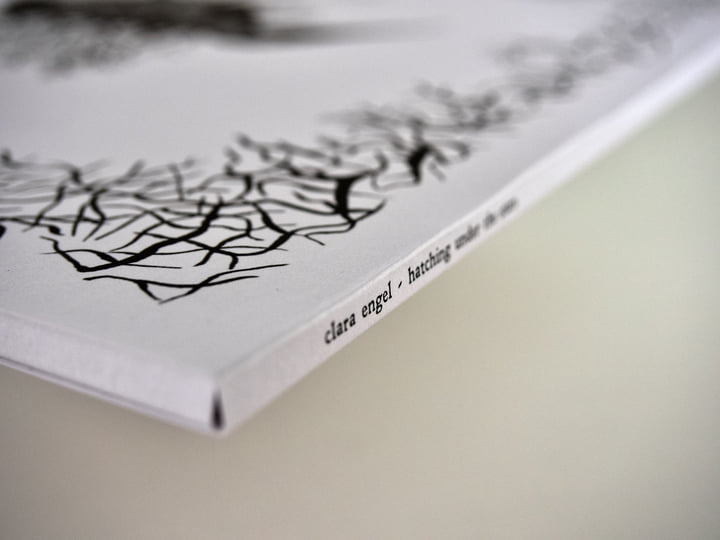 【洋書】Angelika Schaser - Helene Lange und At the Limit of the Obscene - ZfL Berlin