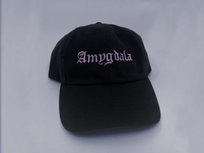 "Amygdala" Logo Hat main photo