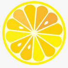 13lemons thumbnail