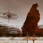 Matteo Nessuno thumbnail