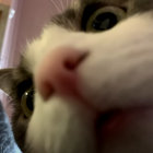 uberspanko thumbnail