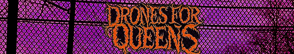 Drones for Queens — Photo