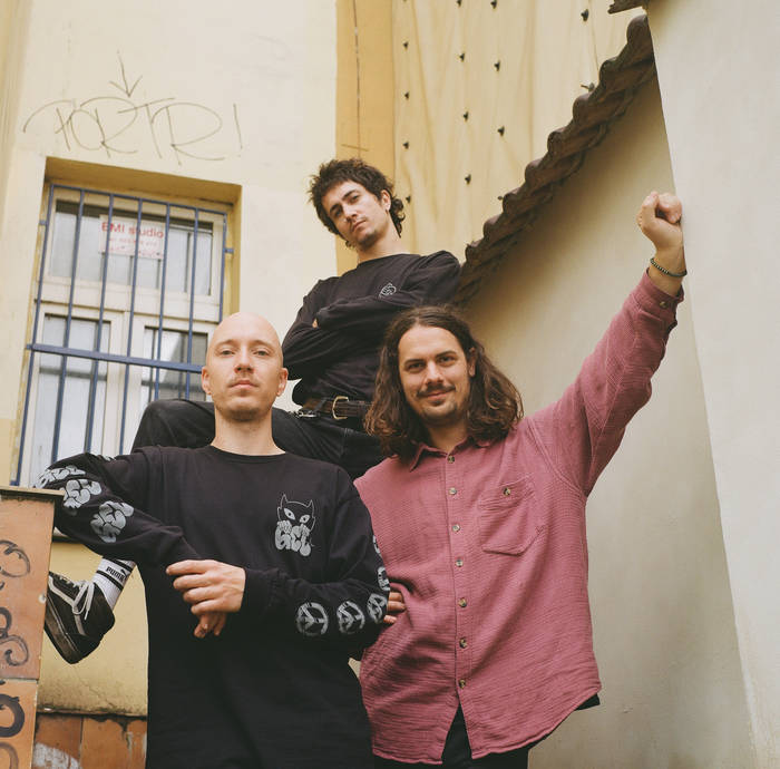 Paranoid Fly | Johnny And The Rotten