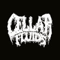 Cellar Fluids — Photo