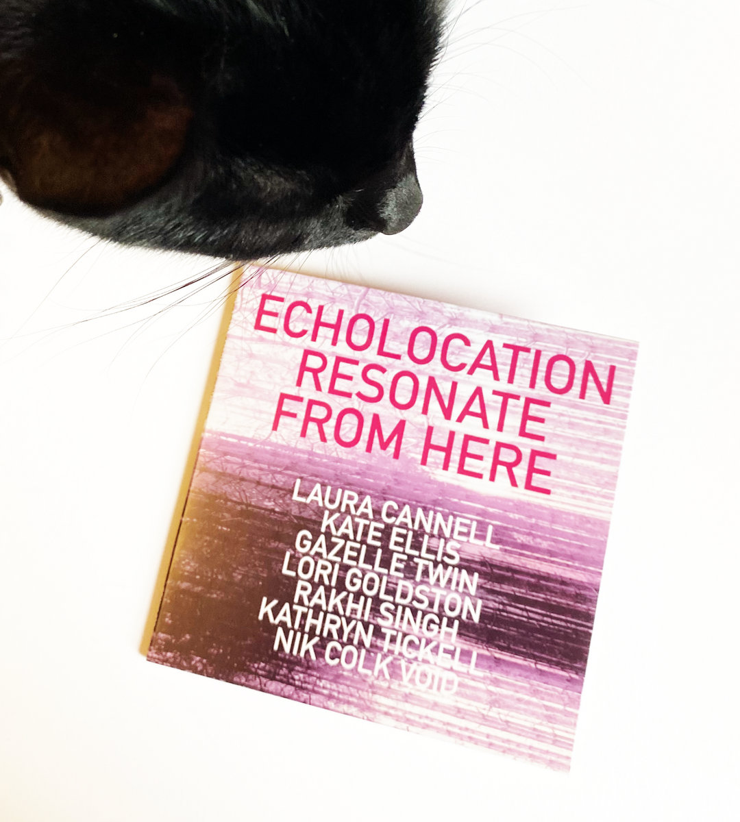 ECHOLOCATION: Resonate From Here | Laura Cannell & Various Artists