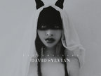 Do you know me now? | David Sylvian