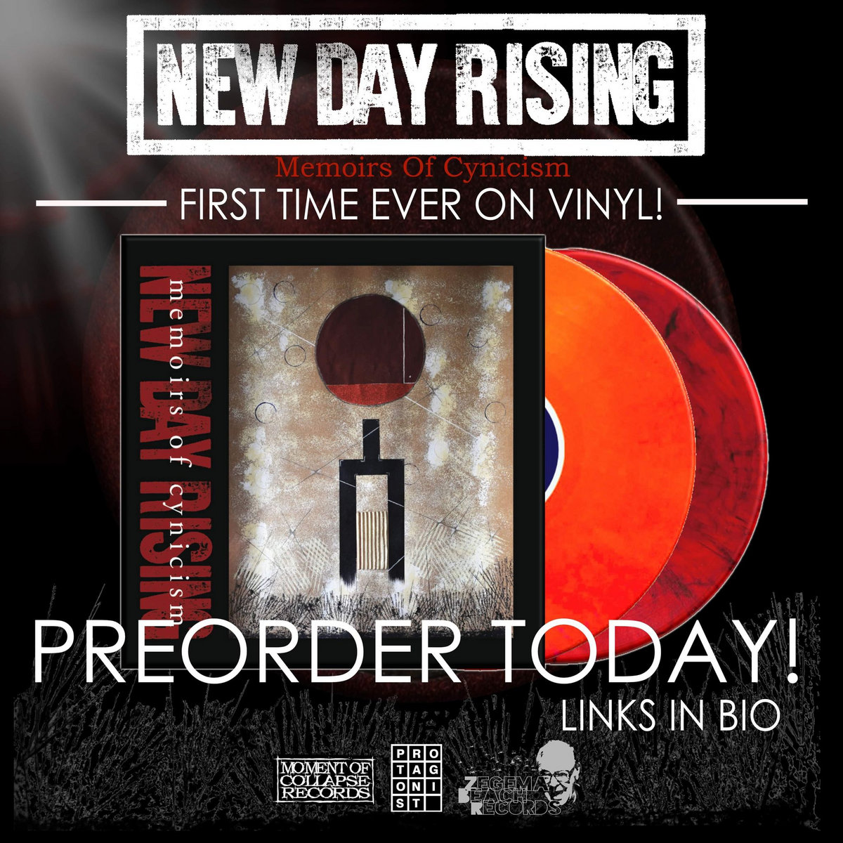 Memoirs of Cynicism | NEW DAY RISING | Zegema Beach Records