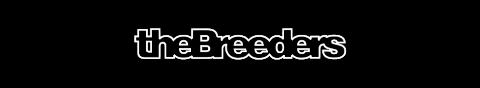 The Breeders — Photo