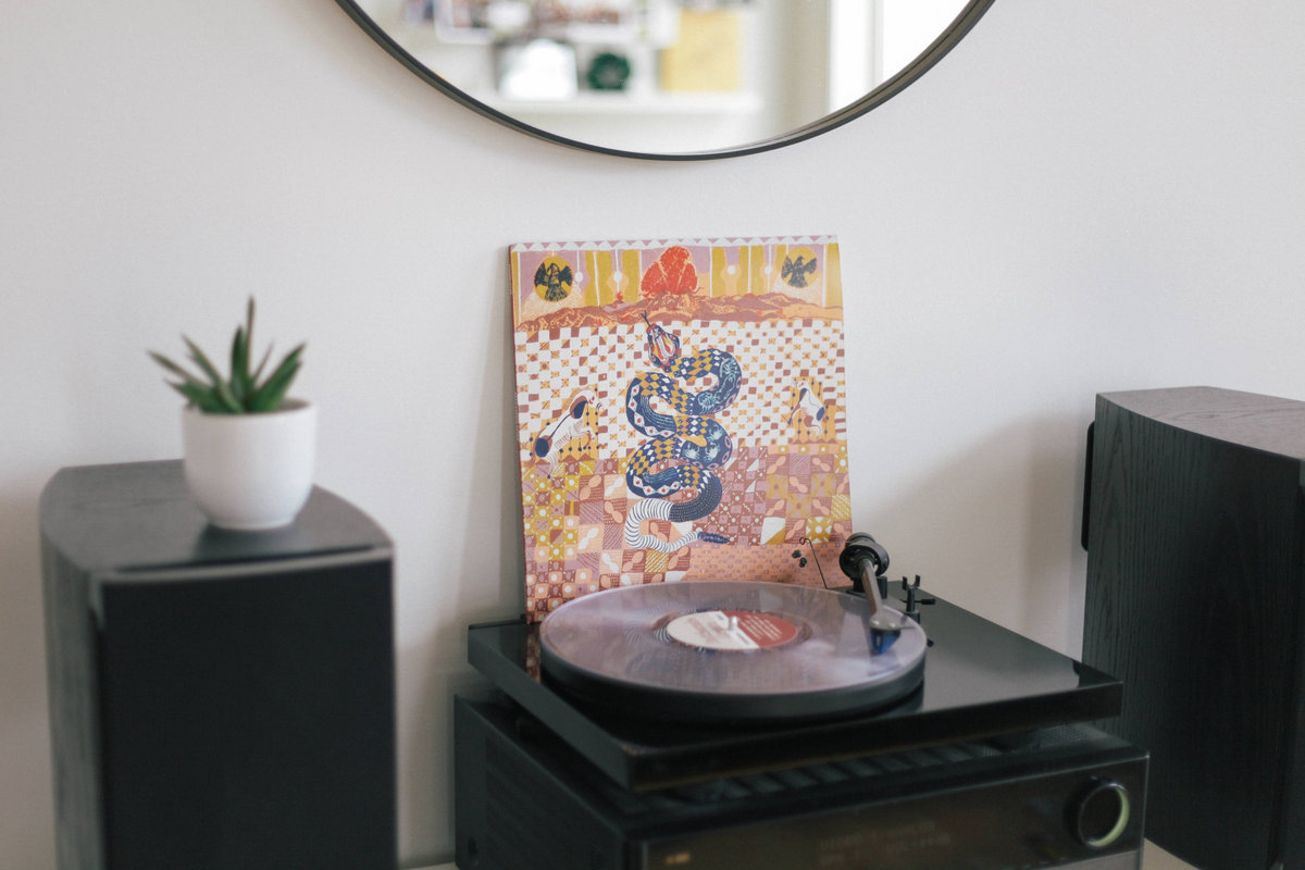 Rattlesnake Dream Starpainter