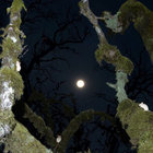 _alie thumbnail