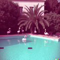 Del Playa image