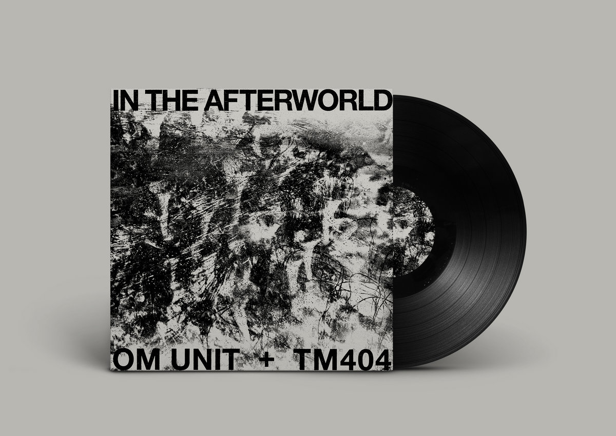 洋楽 Om Unit + TM404 - In The Afterworld In The Afterworld | Om Unit + TM404 | Om Unit