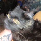 tabascojar thumbnail