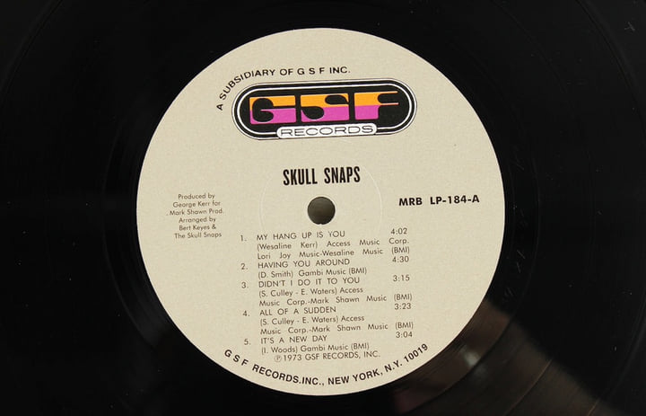 Skull Snaps | Skull Snaps | MR BONGO