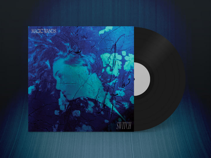 SWITCH | Magic Wands