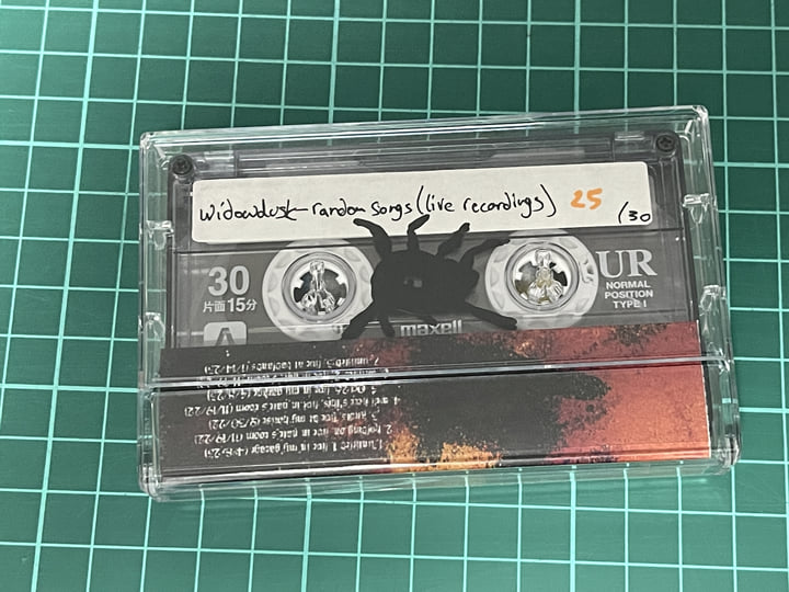 Widowdusk - random songs (live recordings) | Widowdusk | BSDJ