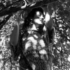 shai_segal thumbnail