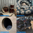 rad_snail thumbnail