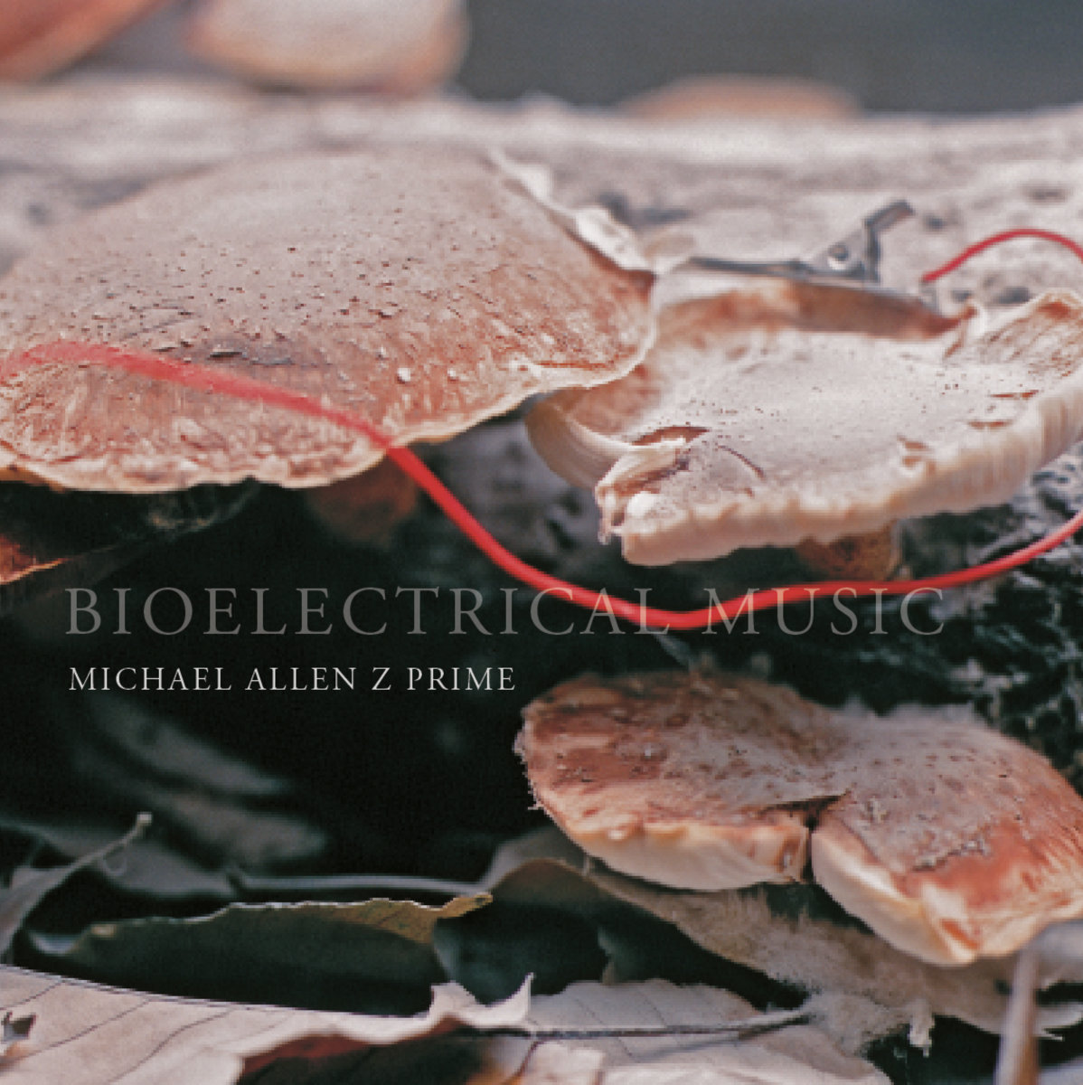 Bioelectrical Music | Michael Allen Z Prime