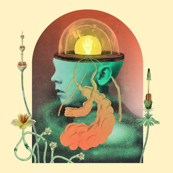 Salami Rose Joe Louis, “Akousmatikous” Bandcamp Daily