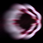 kr98b thumbnail