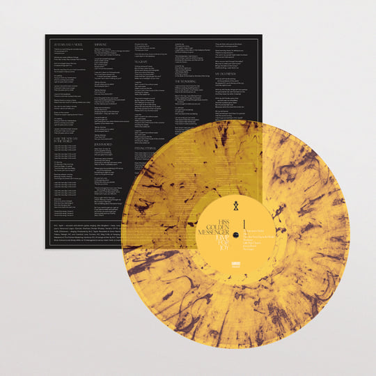 Jump for Joy - Merge Records - Shop Vinyl, Merch, Music and More