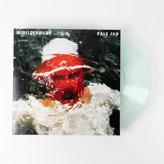 BEWILDERMENT　PALE JAY　LP　カラーレコード Pale Jay - Bewilderment [Seafoam Green]